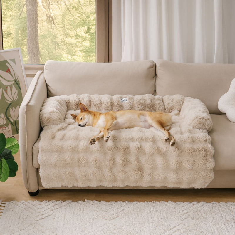 Cama Protetora Ortopedica para Cães e Gatos - PetSnug™ - Lemon Express