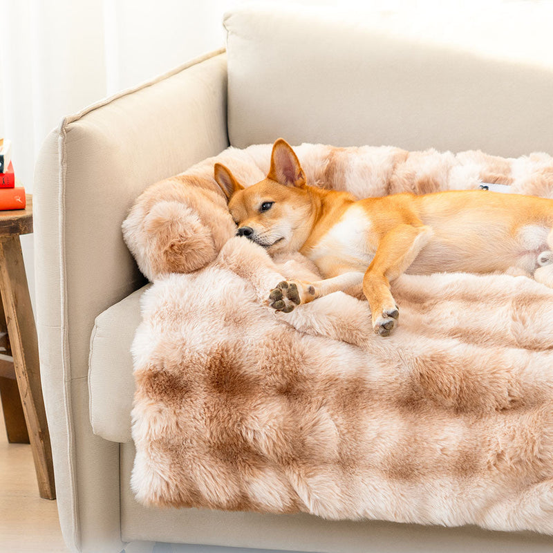 Cama Protetora Ortopedica para Cães e Gatos - PetSnug™ - Lemon Express