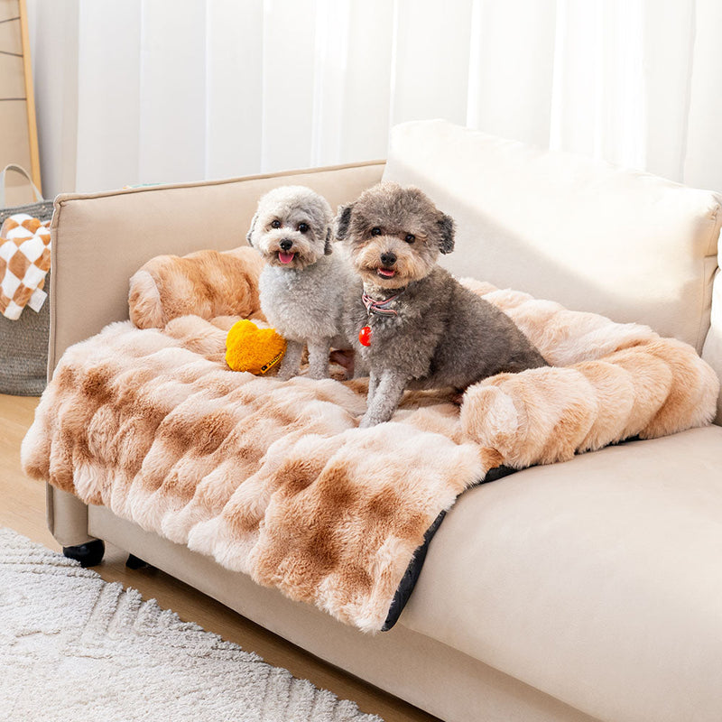 Cama Protetora Ortopedica para Cães e Gatos - PetSnug™ - Lemon Express
