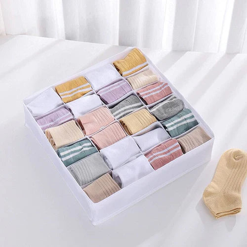 Organizador para Peças Íntimas - Lemon Express